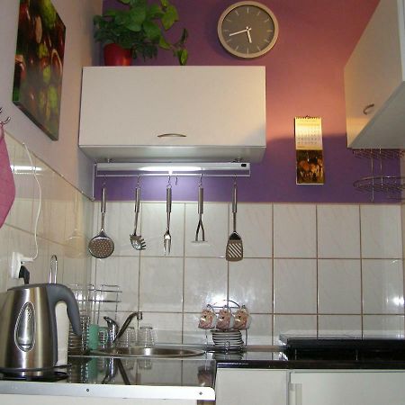 Apartament Dobra Nocka Krynica Zdroj Εξωτερικό φωτογραφία