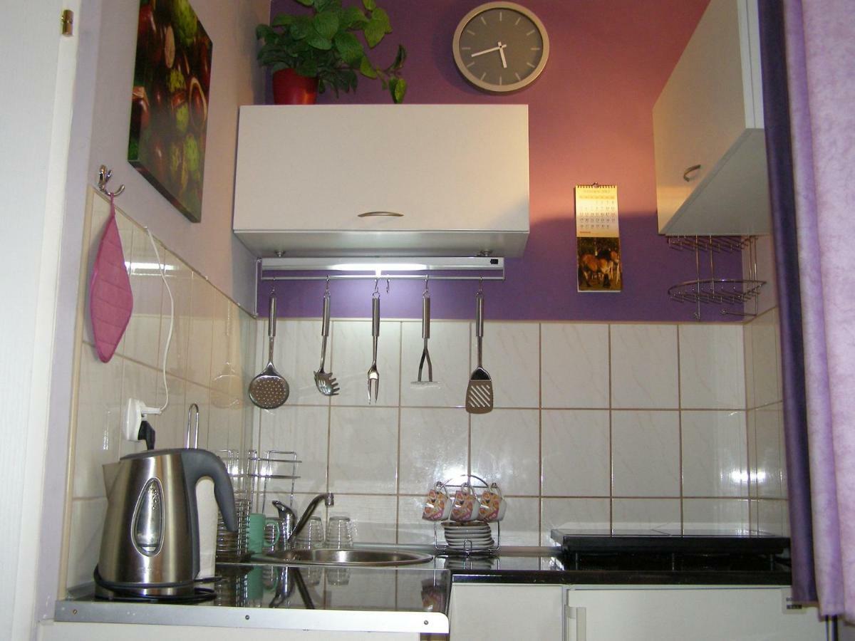 Apartament Dobra Nocka Krynica Zdroj Εξωτερικό φωτογραφία